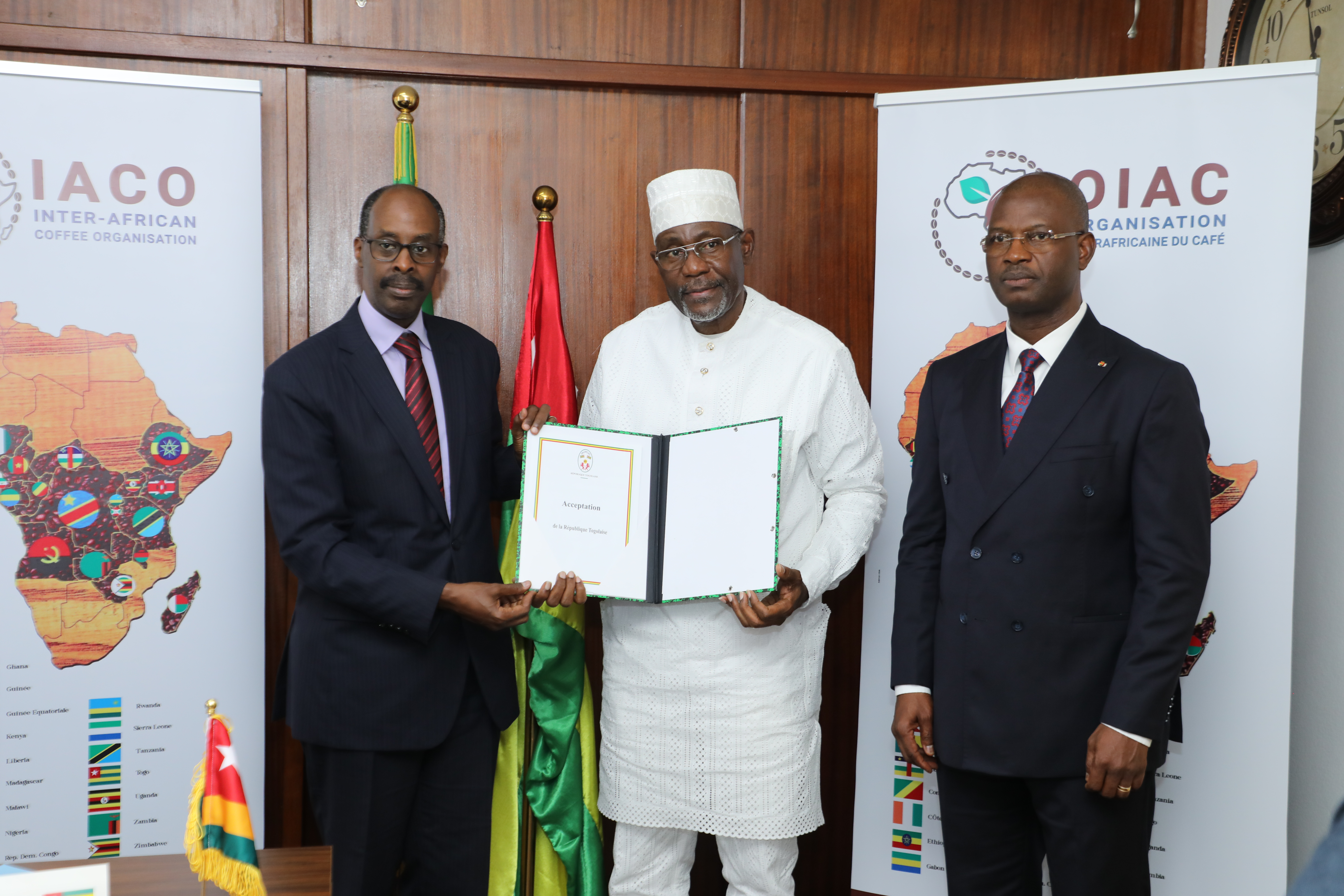 IACO agreement 2020